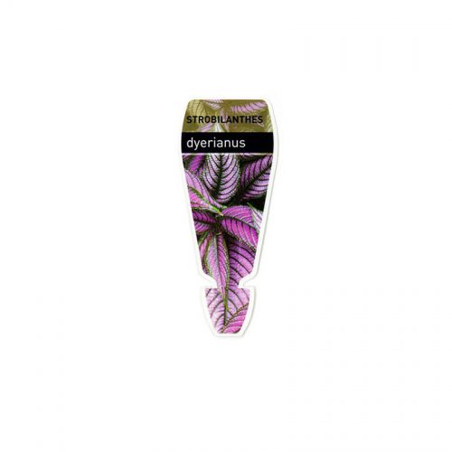 Plant Labels & Tags