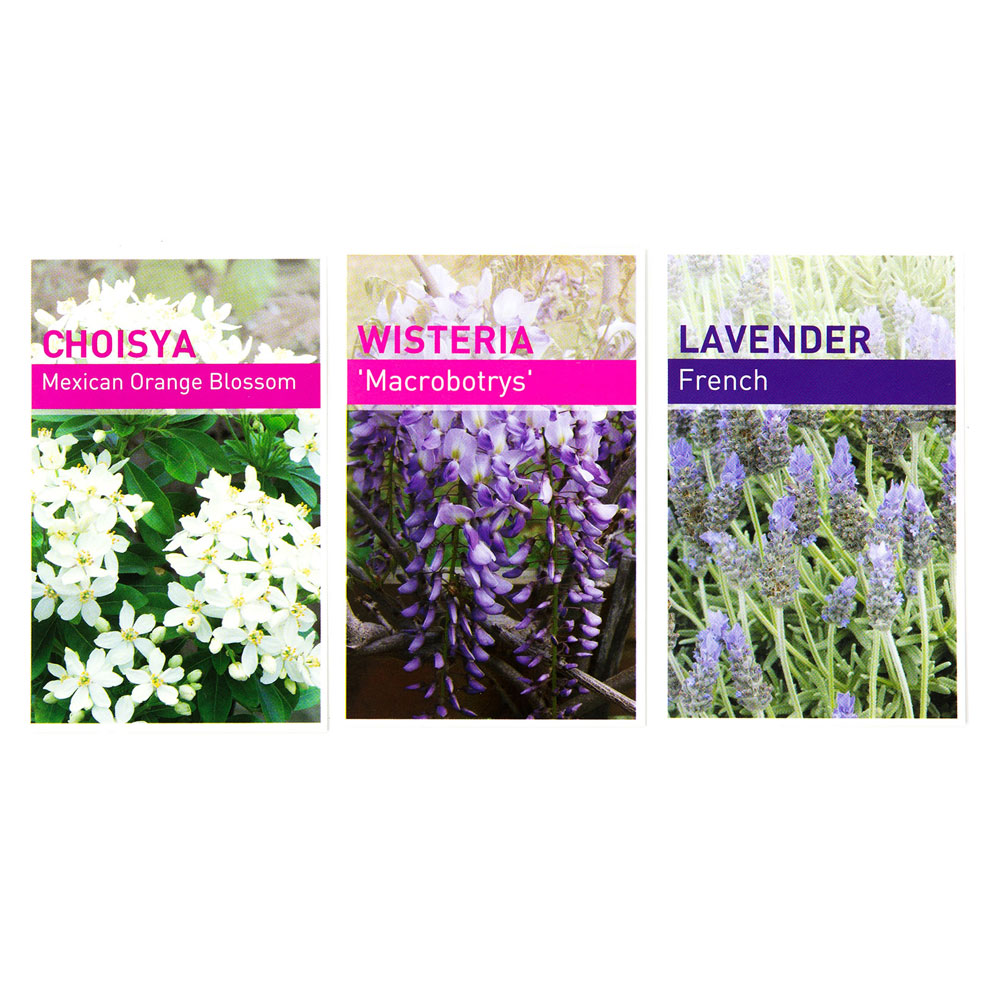 Standard Tie-On Plant Labels