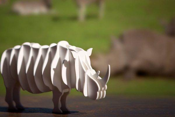 Norwood Rhino Pack - Industrial Design