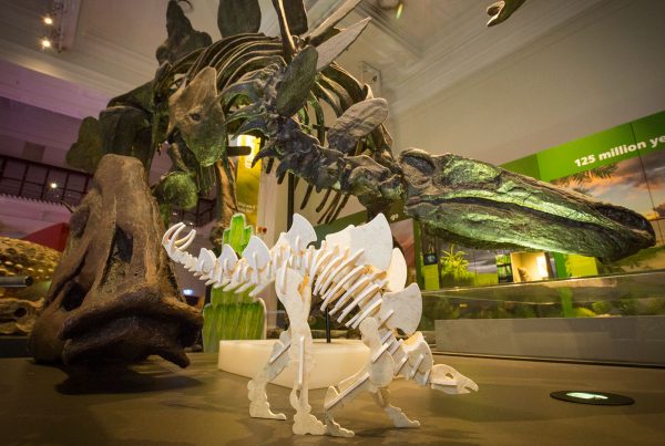 Norwood Stegosaurus Push-Out - Custom Printing