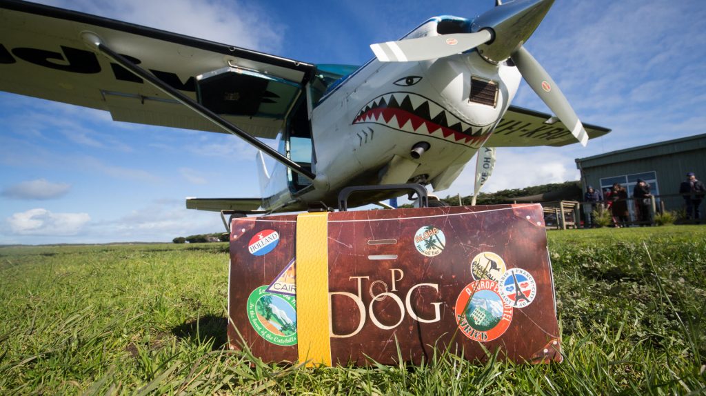 Top Dog 2015 Packaging Norwood