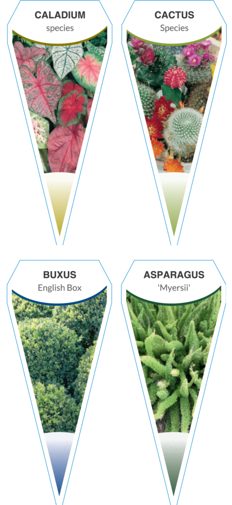 Tiny Tag Push-in Plant Labels