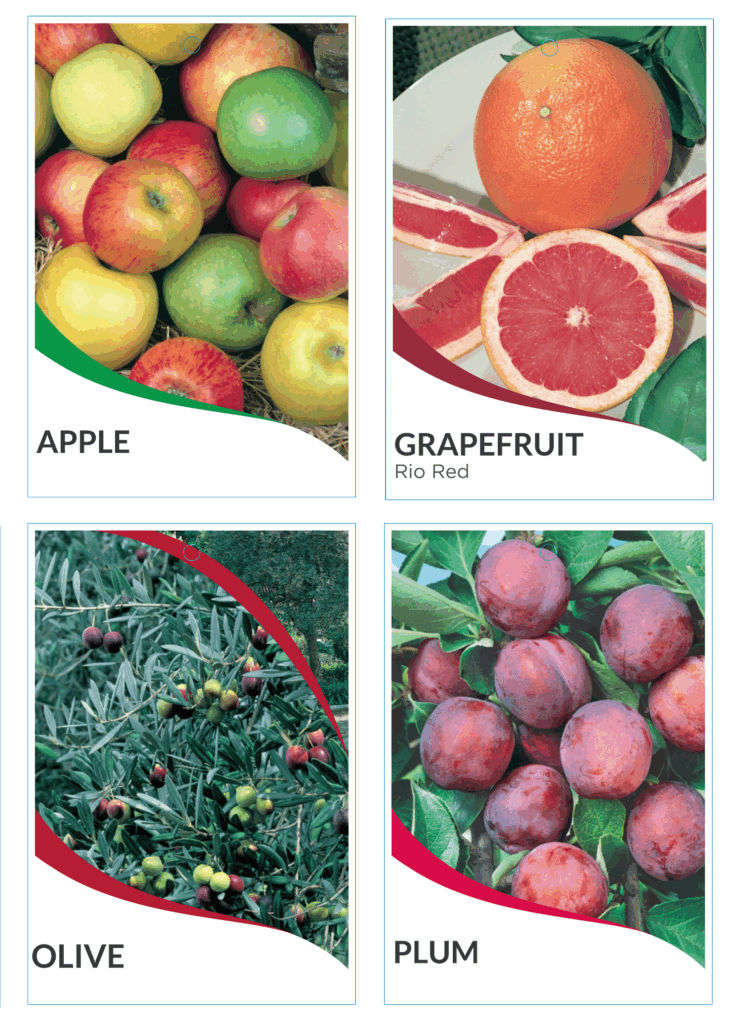 Maxi Tie-On Plant Labels
