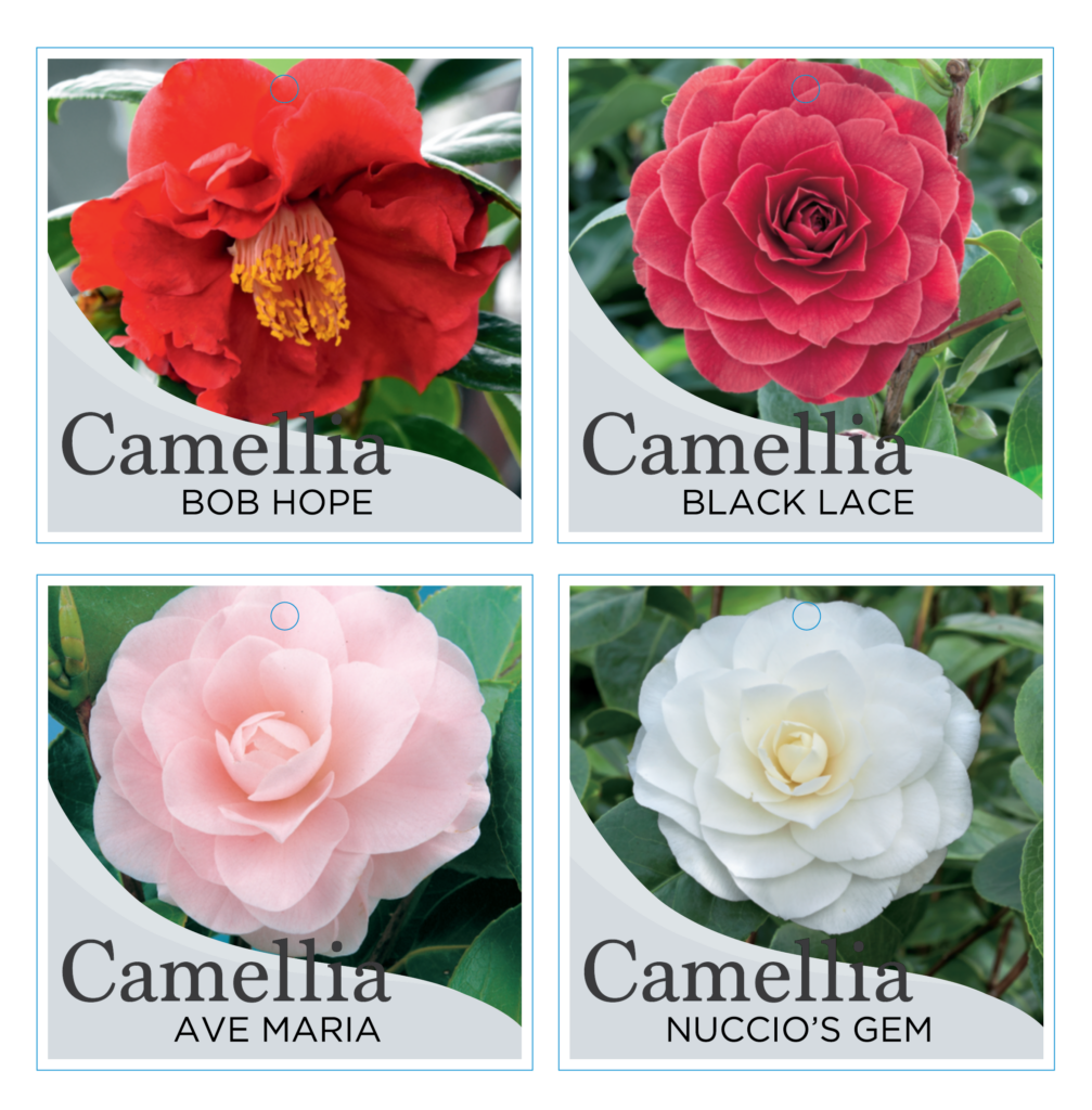 Premium Tie-On Plant Labels