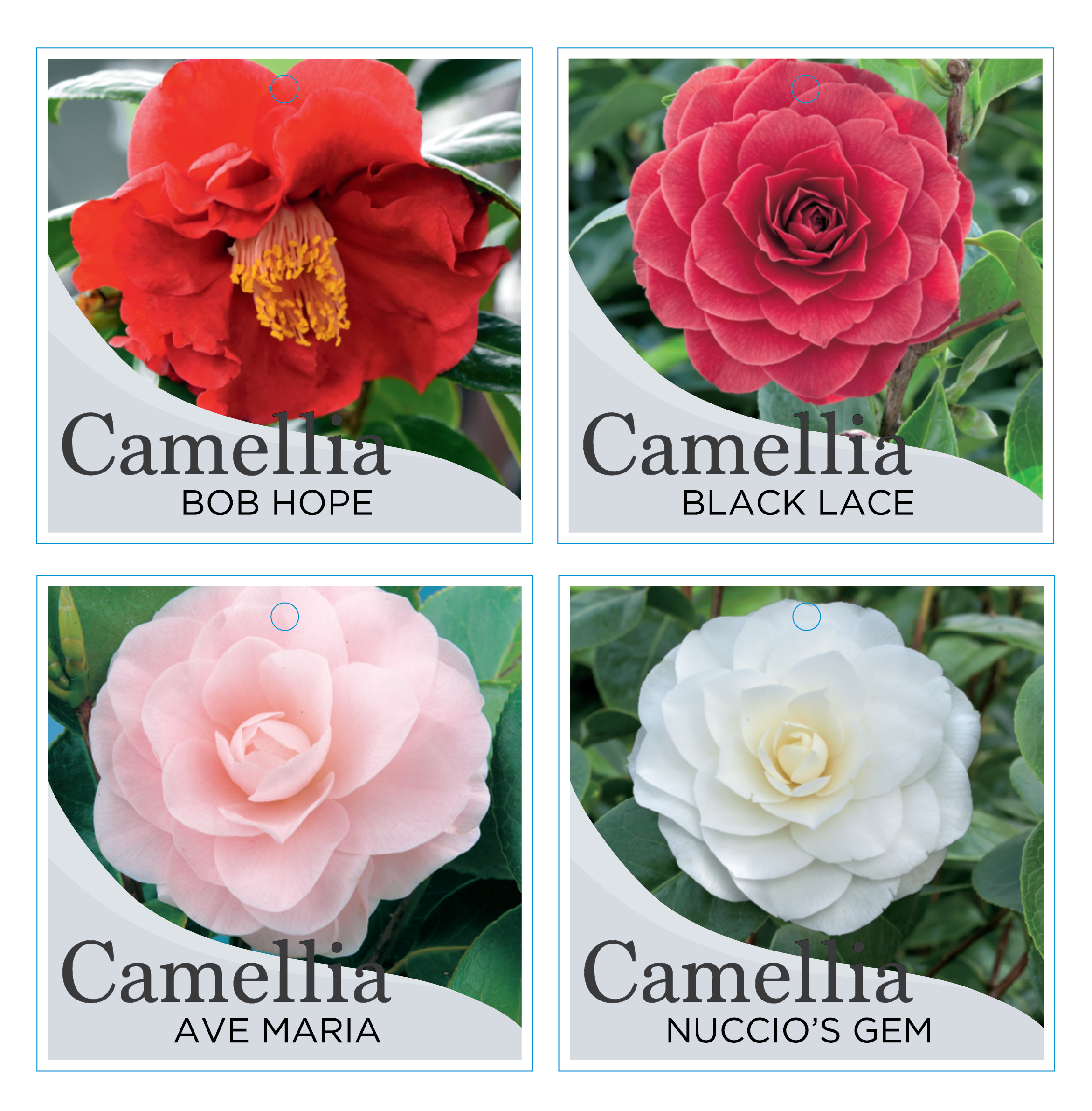 Plant labels & tags