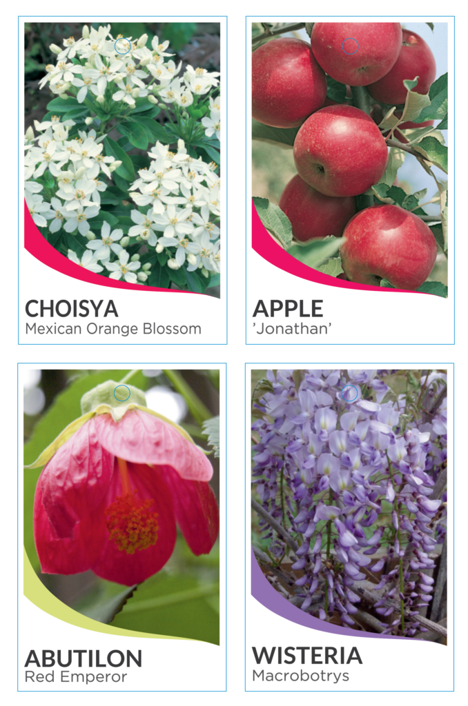 Standard Tie-On Plant Labels
