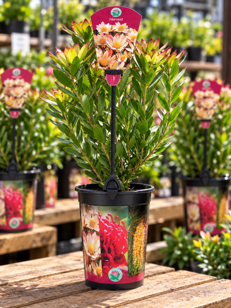 Proclip® Plant Label Holders