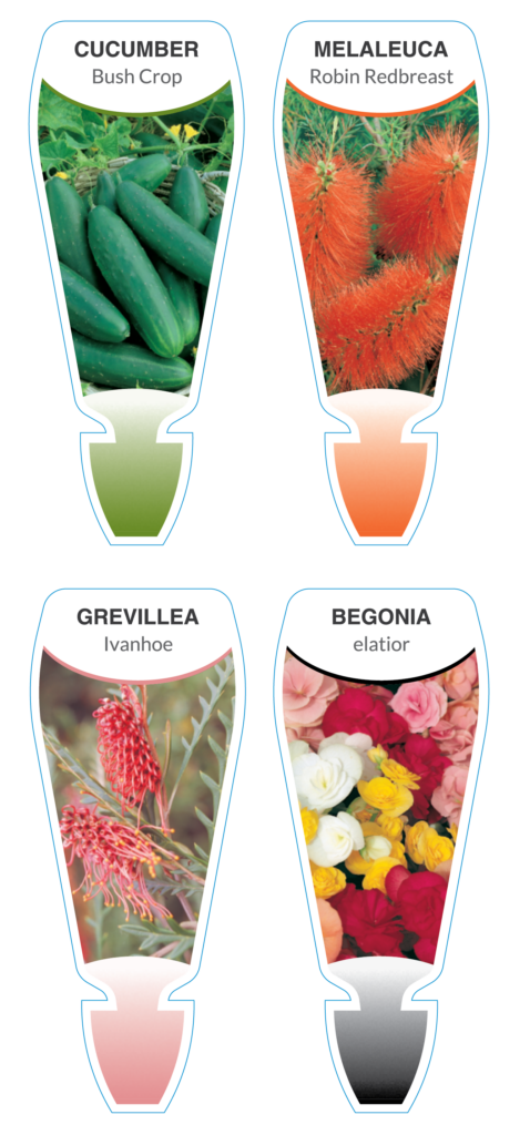 Pictorial Push-in Labels